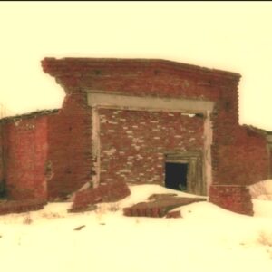 Live Pass Basic 12 months BKEY #714